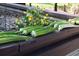 Freshly-picked okra on the edge of a garden bed, with green plants and yellow flowers in the background at 225 Blueberry Rdg, Milton, GA 30075
