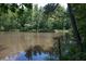 Serene view of the pond surrounded by lush greenery at 225 Blueberry Rdg, Milton, GA 30075