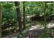 A lush walking path winds through trees and foliage at 225 Blueberry Rdg, Milton, GA 30075