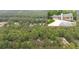 Property with a view of a pool surrounded by trees in the landscape at 320 Williamsburg Cir, Mcdonough, GA 30253