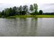 A large pond with the home nestled in the trees in the background at 1415 N Flat Rock Rd, Douglasville, GA 30134