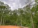 Wooded backyard with mature trees for plenty of privacy at 6861 Ga Hwy 5, Douglasville, GA 30135