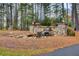 Beautiful stone entrance with a cascading waterfall, pillars with coach lights, and mature landscaping at 401 Night Hawk Ct, Canton, GA 30114