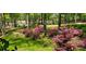 Lush green front yard with mature trees, blooming azaleas, and a well-maintained lawn at 5419 Tyree Rd, Winston, GA 30187