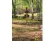 A well-maintained yard featuring a decorative flower display on a rustic wooden post at 5419 Tyree Rd, Winston, GA 30187