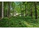 Lush backyard featuring a mix of trees and greenery, creating a private and natural setting at 1229 Colony Cir, Marietta, GA 30068