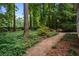 Serene backyard with a stone pathway amidst lush greenery, offering a peaceful retreat at 1229 Colony Cir, Marietta, GA 30068