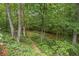 Lush wooded backyard with a trampoline, offering a serene and private outdoor space at 1529 Shiloh Manor Ct, Marietta, GA 30066
