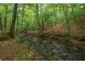 A lush creek winds through a beautiful wooded landscape, enhancing the property's natural appeal at 1529 Shiloh Manor Ct, Marietta, GA 30066