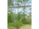 View of wooded backyard with mature trees and lush greenery at 4840 Moon Rd, Powder Springs, GA 30127