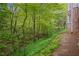 Lush backyard featuring mature trees and verdant ground cover, bordering a classic brick home at 4555 Peachtree Dunwoody Rd, Sandy Springs, GA 30342