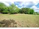 Large grassy yard with scattered pine cones and mature trees for privacy at 1510 Pecan Plantation Ct, Loganville, GA 30052