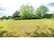 Expansive backyard with lush lawn, mature trees and a view at 1510 Pecan Plantation Ct, Loganville, GA 30052