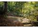 A serene backyard area surrounded by lush greenery and stone steps at 922 Barton Woods Ne Rd, Atlanta, GA 30307