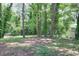 Backyard featuring a few trees, shade and a small shed at 2094 Shamrock Dr, Decatur, GA 30032