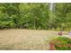 Expansive backyard with lush greenery and a well-maintained lawn, perfect for outdoor activities and relaxation at 10610 Kingsmark Trl, Alpharetta, GA 30022
