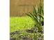 Beautiful backyard with lake access for enjoying the outdoors at 337 Andrew Bailey Rd, Sharpsburg, GA 30277