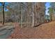 Private driveway leading up to a residential property surrounded by mature trees at 337 Andrew Bailey Rd, Sharpsburg, GA 30277