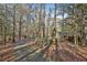 Curving paved driveway leading to a charming home nestled in a wooded setting at 337 Andrew Bailey Rd, Sharpsburg, GA 30277
