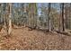 View of heavily wooded lot filled with mature hardwood trees and a thick carpet of fallen leaves at 337 Andrew Bailey Rd, Sharpsburg, GA 30277