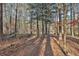 Wooded area with a natural path, showcasing the lot's potential for outdoor enjoyment at 337 Andrew Bailey Rd, Sharpsburg, GA 30277