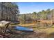 Relaxing view of lake with mature trees surrounding the shoreline and swing in the foreground at 337 Andrew Bailey Rd, Sharpsburg, GA 30277