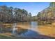 Scenic view of a tranquil pond surrounded by mature trees at 337 Andrew Bailey Rd, Sharpsburg, GA 30277