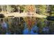 A peaceful pond reflecting the surrounding nature at 337 Andrew Bailey Rd, Sharpsburg, GA 30277