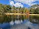 Scenic view of the pond with autumn colors and beautiful landscaping at 337 Andrew Bailey Rd, Sharpsburg, GA 30277
