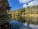 Scenic view of a lake featuring a beautiful tree line along the shore at 337 Andrew Bailey Rd, Sharpsburg, GA 30277