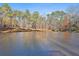 Scenic view of the lake and surrounding trees at 337 Andrew Bailey Rd, Sharpsburg, GA 30277
