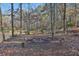 Secluded outdoor space featuring a fire pit and seating near a tranquil pond, ideal for gatherings at 337 Andrew Bailey Rd, Sharpsburg, GA 30277
