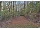 Outdoor wooded area with potential for recreational activities at 337 Andrew Bailey Rd, Sharpsburg, GA 30277