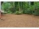 View of expansive backyard featuring tall trees, lush foliage, and a tiered garden at 3567 Beachhill Dr, Atlanta, GA 30340