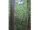 Beautiful view of lush green trees at 1111 Clairemont Ave # 5, Decatur, GA 30030