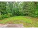 Scenic backyard featuring grassy area bordered by lush green trees at 1482 Connally Sw Ave, Atlanta, GA 30310