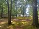 Wide backyard with home in background, storage shed, moss, and trees at 148 Boogers Hill Rd, Oxford, GA 30054