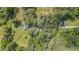 Bird's eye view of wooded property, featuring a house and a separate structure, surrounded by greenery at 3919 Mccullers Rd, Loganville, GA 30052