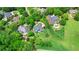 Aerial view of luxury homes on large lots with mature trees at 6515 Ashbourne Ct, Suwanee, GA 30024