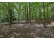 Wooded backyard landscape offering a serene and private outdoor space at 4810 Duncans Lake Dr, Buford, GA 30519