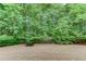 Backyard featuring a wooded view and lush greenery at 512 Antler Ln, Suwanee, GA 30024