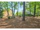 Beautiful home exterior with well-manicured lawn and mature trees, set on a spacious lot at 12084 Cotton Aly, Alpharetta, GA 30009