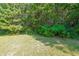 A grassy backyard bordered by lush green trees offers a serene and private outdoor space at 6220 Polar Fox Ct, Riverdale, GA 30296