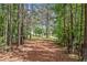 Secluded home surrounded by beautiful landscaping and mature trees with partial view of a pond at 1064 Highway 20 E, Mcdonough, GA 30252