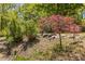Landscaped garden with lush greenery, rocks, and a vibrant Japanese maple tree at 2377 Pine Mountain Rd, Kennesaw, GA 30152