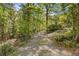 A tree-lined path leads through a lush, green landscape, creating a serene and inviting atmosphere at 2377 Pine Mountain Rd, Kennesaw, GA 30152