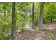 Beautiful scenery of a tree-lined view of a lake with dense vegetation and natural light at 110 Hawks Bnd, Canton, GA 30115