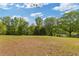 Open grassy yard surrounded by trees, offering space for outdoor activities and recreation at 110 Hawks Bnd, Canton, GA 30115