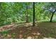 A lush, partially shaded backyard with mature trees and a peaceful setting, ideal for relaxation and outdoor enjoyment at 8136 Connally Dr, Douglasville, GA 30134