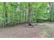Scenic view of the wooded backyard showcasing natural beauty and privacy at 4490 Highway 138 Sw, Stockbridge, GA 30281